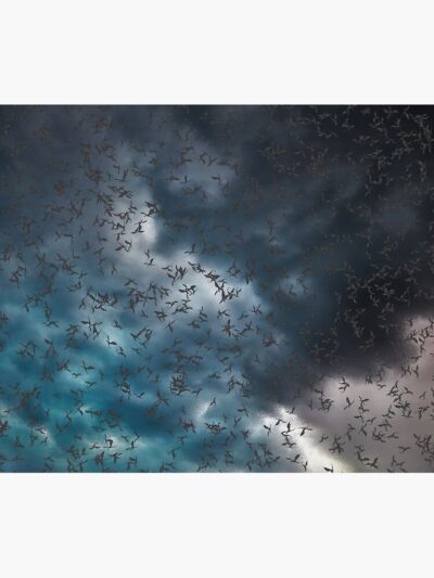 Alternative view of Onyx Dragons A Piece To Celebrate The Release Of Onyx Storm Tapestry